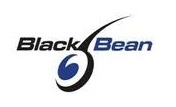 Black Bean Games founded in 2004