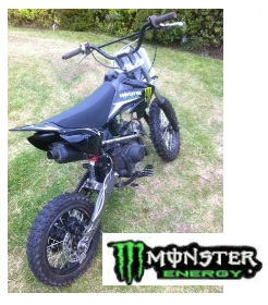 a Pit bike 110cc with Monster grahics