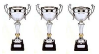 dirt bike trophies you can own