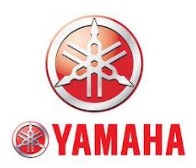 do you love the yamaha dirt bike