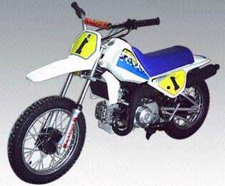 ebay motor dirt bike