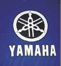 Yamaha Dirt Bike Part