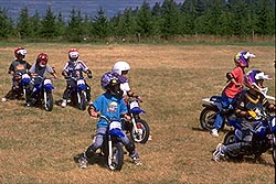 mini dirt bike videos