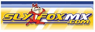 slyfoxmx.com logo